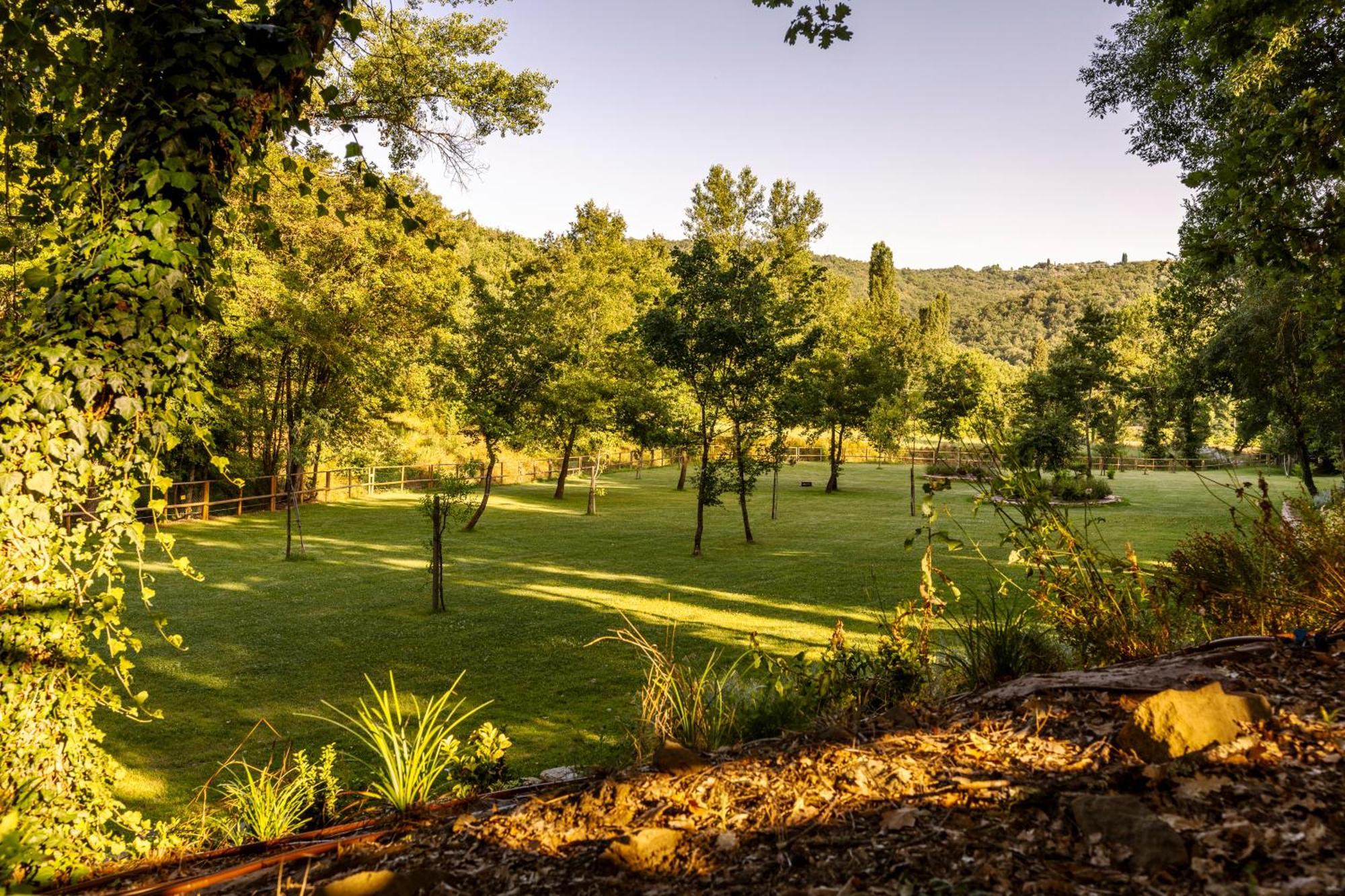 Апартаменти Podere La Casina Country Chic Rigomagno Екстер'єр фото